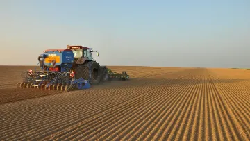 Semis d’orges d’hiver : densités optimales en grains/m2 à semer